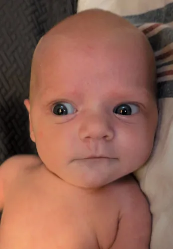 Ember-Ann Ashley Steward